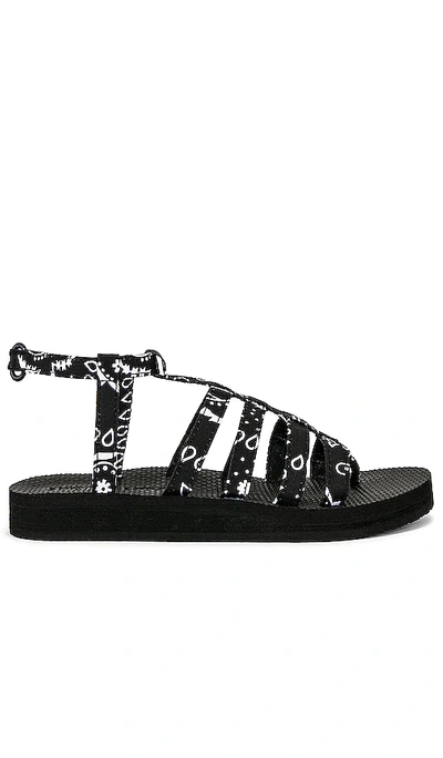 ARIZONA LOVE TREKKY FLAT SPARTIATE 