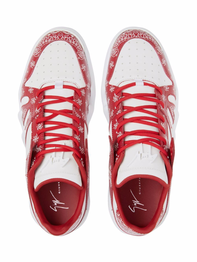 Shop Giuseppe Zanotti Talon Paisley-print Sneakers In Red