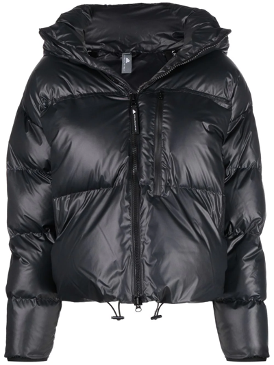 Shop Adidas By Stella Mccartney Padded Hooded Jacket In Black