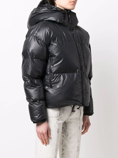 Shop Adidas By Stella Mccartney Padded Hooded Jacket In Black