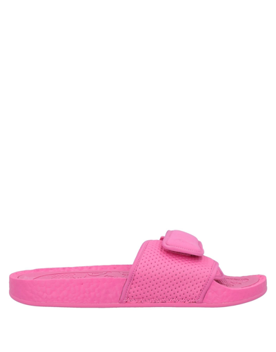 Shop Adidas Originals By Pharrell Williams Adidas Originals Man Sandals Pink Size 4 Textile Fibers