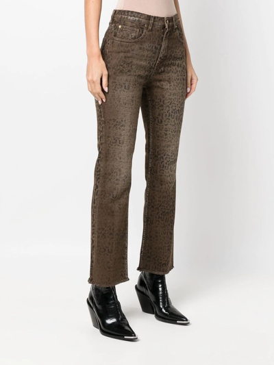 Shop Golden Goose Faded Leopard-print Kick Flare Jeans In Brown