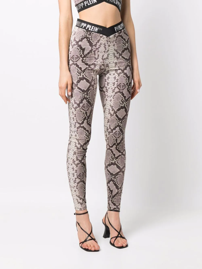Philipp Plein Snakeskin-print Leggings In Brown