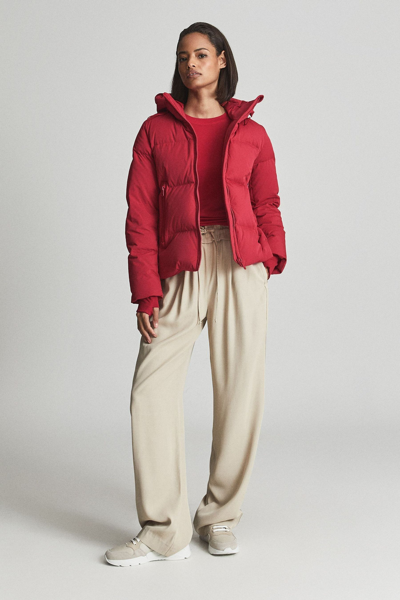 Reiss Thea Short Puffer Jacket In Nocolor | ModeSens