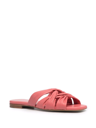 Shop Emporio Armani Flat Leather Slides In Pink