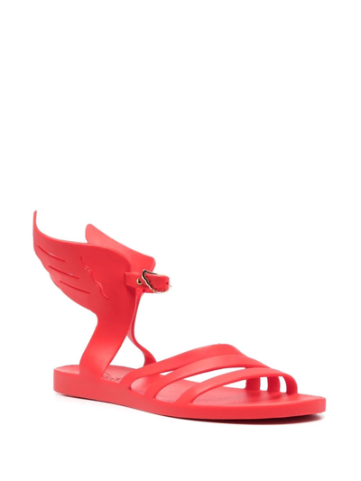 Shop Ancient Greek Sandals Ikaria Jelly Sandals In Red