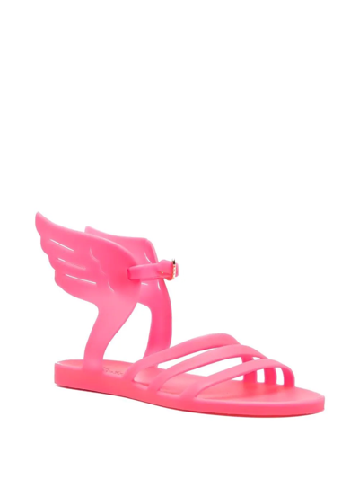 Shop Ancient Greek Sandals Ikaria Jelly Sandals In Pink