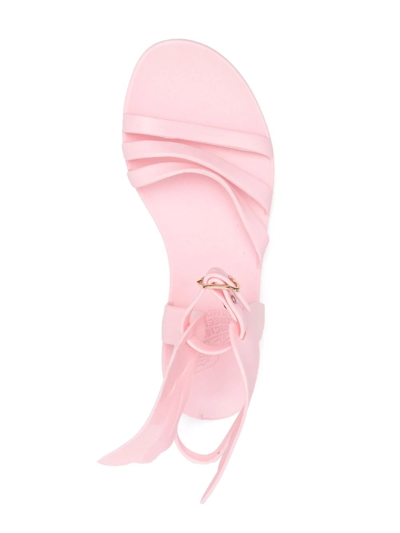 Shop Ancient Greek Sandals Ikaria Jelly Sandals In Pink