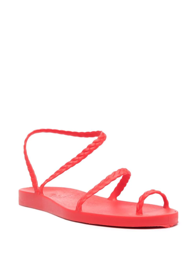 Shop Ancient Greek Sandals Eleftheria Jelly Sandals In Red