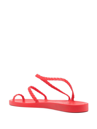 Shop Ancient Greek Sandals Eleftheria Jelly Sandals In Red