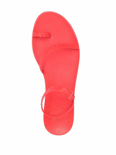 Shop Ancient Greek Sandals Eleftheria Jelly Sandals In Red