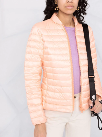 Shop Peuterey Puntia Zipped Padded Jacket In Orange