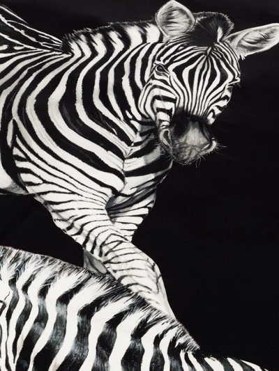 Dolce & Gabbana Zebra-print Silk Quilt Blanket In Black