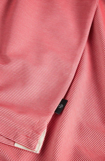 Shop Ted Baker Ellerby Stripe Polo In Pink
