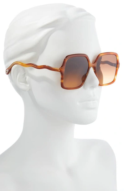 Shop Chloé 58mm Gradient Rectangular Sunglasses In Havana