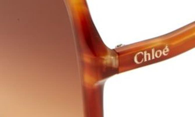 Shop Chloé 58mm Gradient Rectangular Sunglasses In Havana