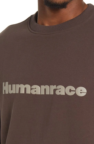 Shop Adidas Originals X Humanrace Cotton Sweatshirt In Brown