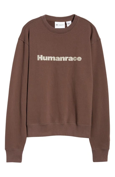 Shop Adidas Originals X Humanrace Cotton Sweatshirt In Brown