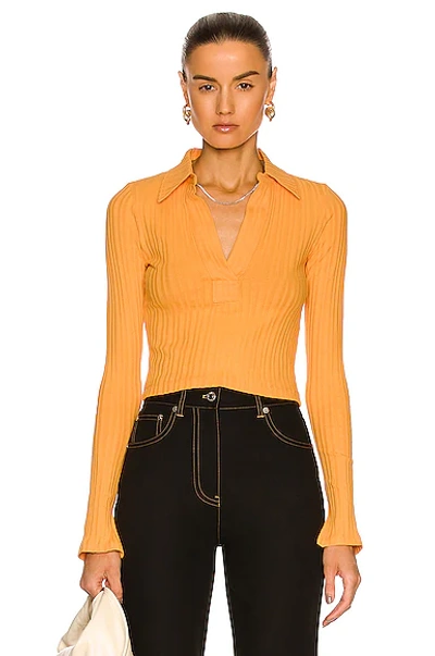 Shop Helmut Lang Long Sleeve Crop Polo Top In Apricot