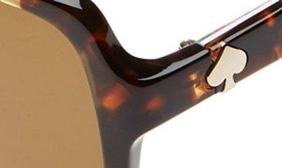 Shop Kate Spade 'ayleen' 56mm Polarized Sunglasses In Havana/ Multi Pattern