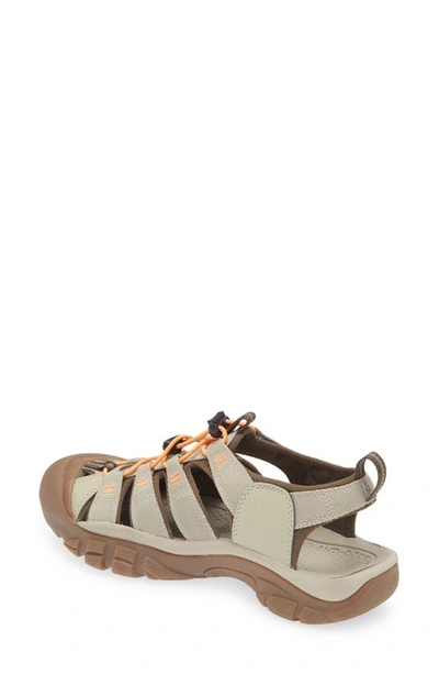 Keen 'newport H2' Sandal In Safari/ Papaya