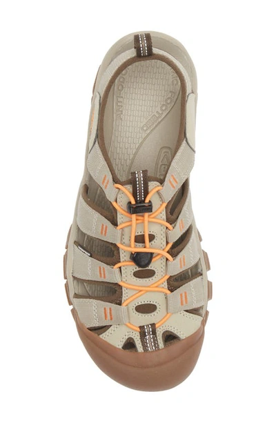 Keen 'newport H2' Sandal In Safari/ Papaya