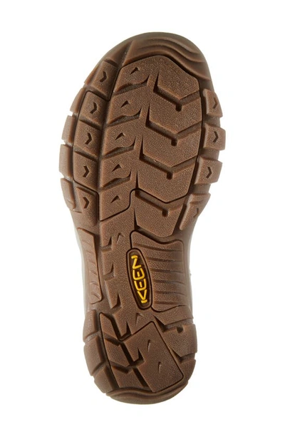 Keen 'newport H2' Sandal In Safari/ Papaya