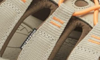 Keen 'newport H2' Sandal In Safari/ Papaya