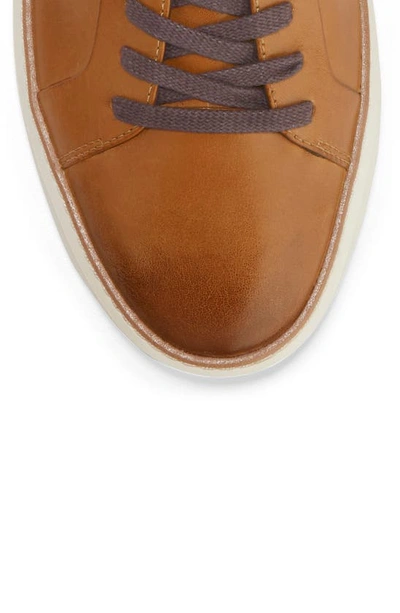 Cole Haan Grandpro Topspin Low Top Sneakers In British Tan