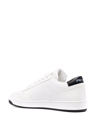 Prada Downtown Lace-up Tennis Shoes In Multi-colored | ModeSens