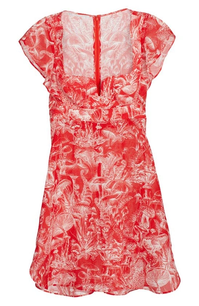 Shop Stella Mccartney Fungi First Silk & Cotton Dress In 6503 Lava Red