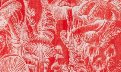 Shop Stella Mccartney Fungi First Silk & Cotton Dress In 6503 Lava Red