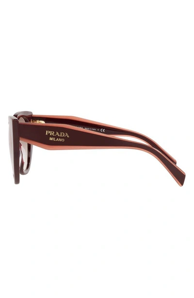 Shop Prada 52mm Cat Eye Sunglasses In Garnet/ Clear Gradient Brown