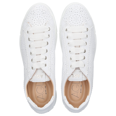 Shop Agl Attilio Giusti Leombruni Sneakers White D936085