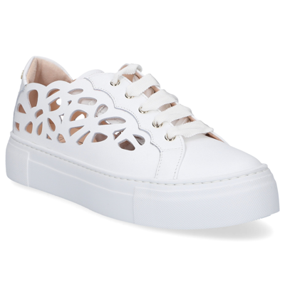 Shop Agl Attilio Giusti Leombruni Low-top Sneakers D925249 Calfskin In White