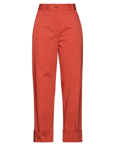 Shop Brag-wette Woman Pants Orange Size 10 Cotton, Elastane