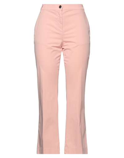 Shop Diana Gallesi Woman Pants Pink Size 10 Cotton, Elastane