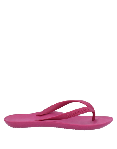 Shop A.testoni A. Testoni Woman Thong Sandal Mauve Size 4-5 Rubber In Purple