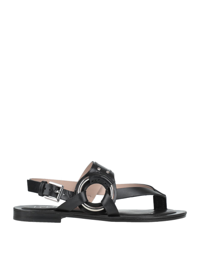 Shop Cécile Woman Thong Sandal Black Size 6 Cowhide