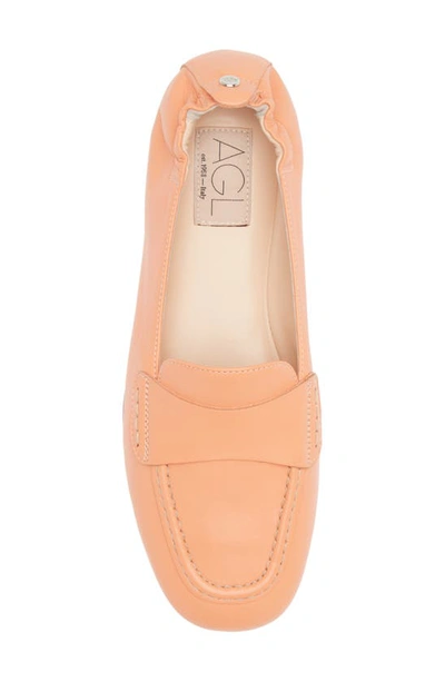 Shop Agl Attilio Giusti Leombruni Mara Loafer In Apricot