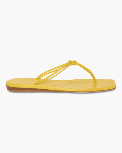 Shop Dorothee Schumacher Colorful Vibes Cord Sandal In Lemon Yellow