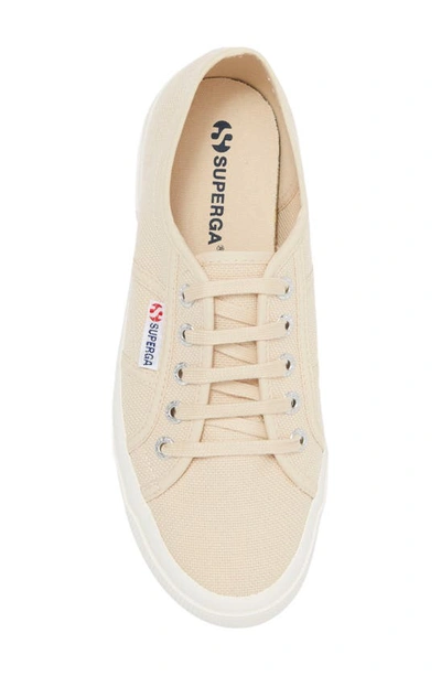 Superga Cotu Sneaker In Beige Sand Full Avorio