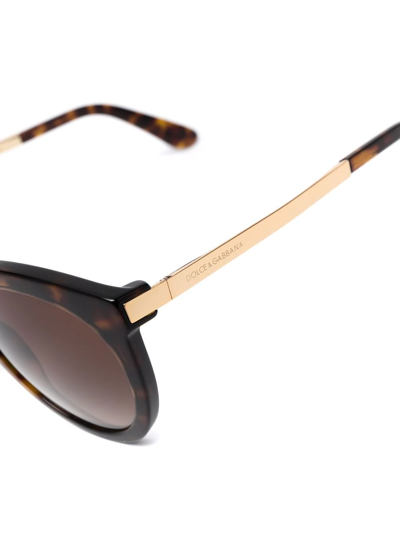 Shop Dolce & Gabbana Tortoiseshell Round-frame Sunglasses In Brown