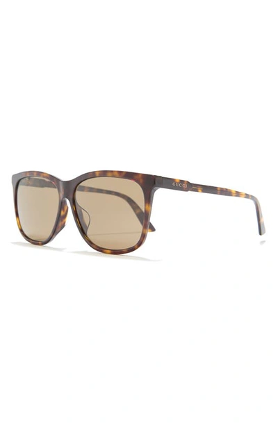Gucci 60mm Square Sunglasses In Havana Brown