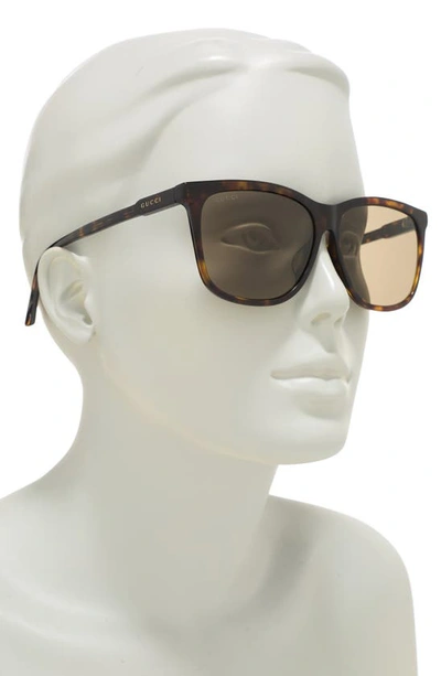 Gucci 60mm Square Sunglasses In Havana Brown