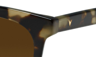 Shop Vincero Ellison 54mm Polarized Round Sunglasses In Havana Brown