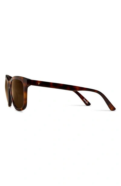 Shop Vincero Emery 56mm Polarized Round Sunglasses In Rye Tortoise Brown