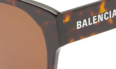 Shop Balenciaga 56mm Square Sunglasses In Havana