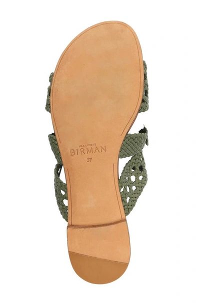 Shop Alexandre Birman Clarita Woven Slide Sandal In Green Tea
