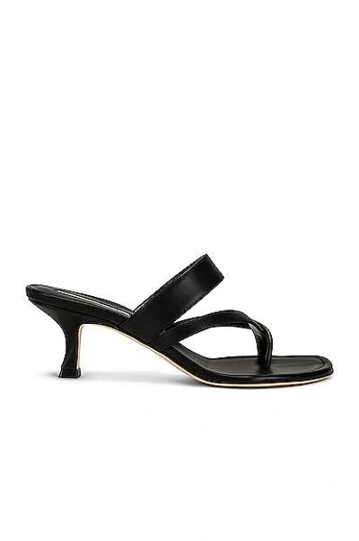 Shop Manolo Blahnik Susa 50 Leather Sandal In Black